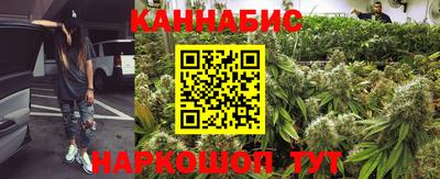 гидропоника Славгород