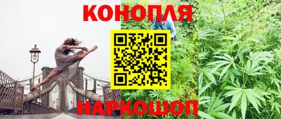 гидропоника Славгород